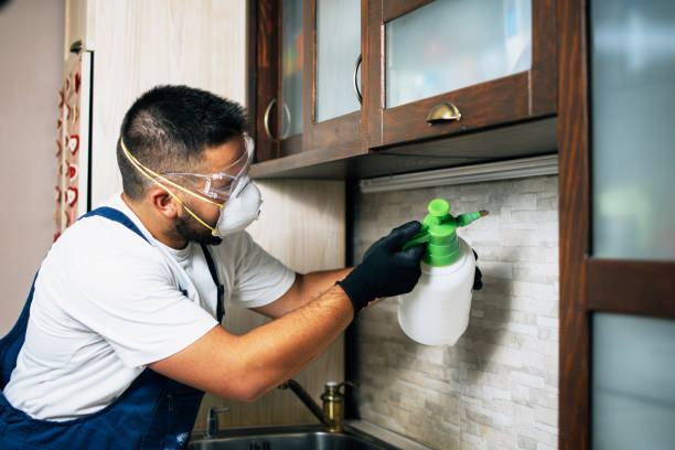 Best Residential Pest Control  in Mendon, UT