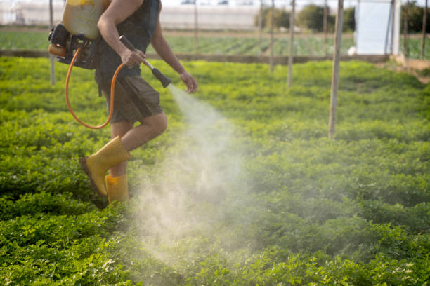 Insect Control in Mendon, UT