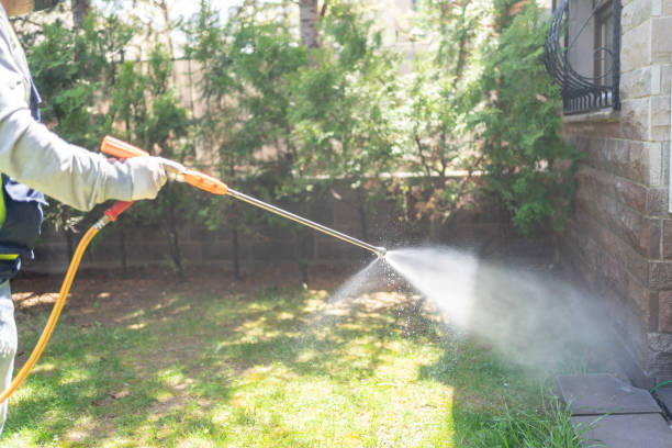 Best Affordable Pest Control Services  in Mendon, UT