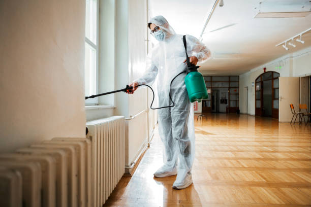 Best Emergency Pest Control  in Mendon, UT